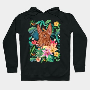 Tropical Pharaoh Hound Hoodie